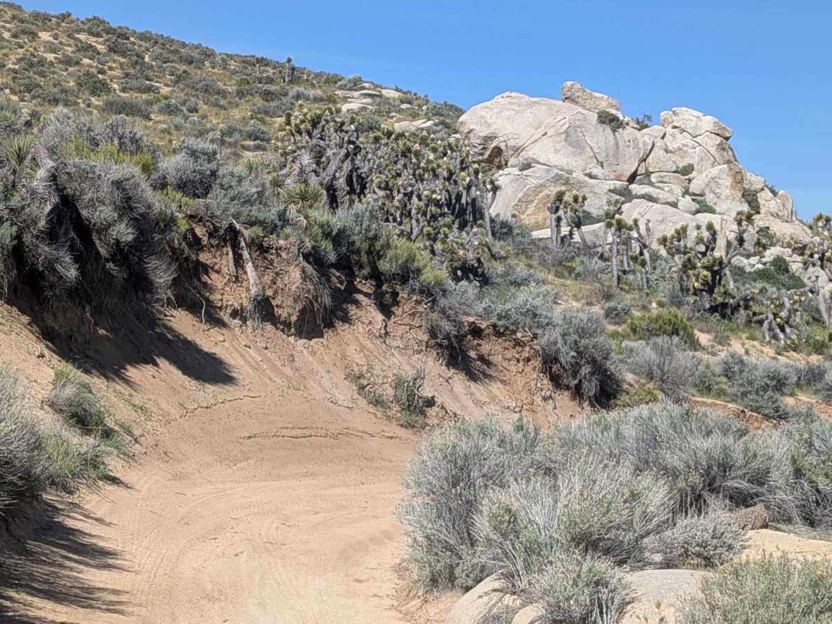 Dove Springs Canyon photo 6