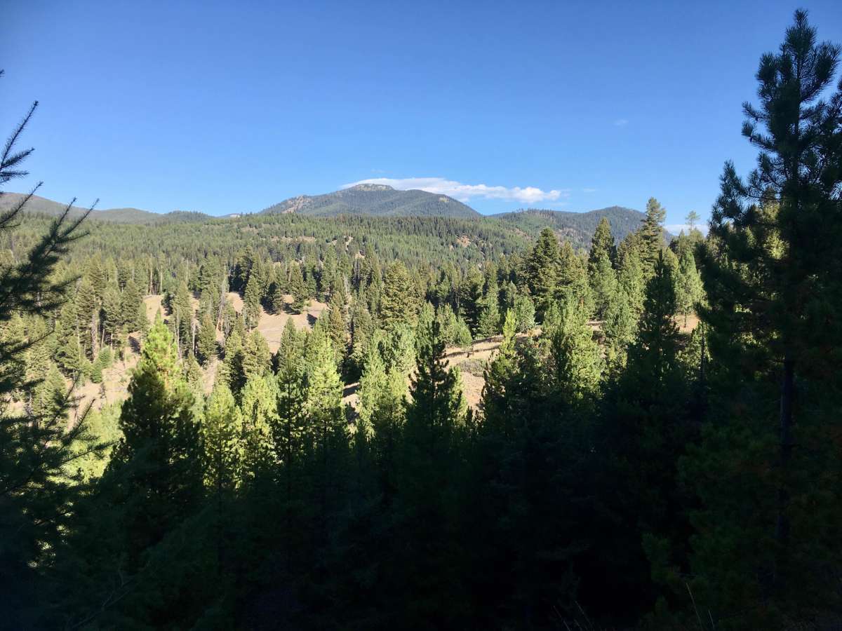 Reynolds Ridge Road - FS 5770 photo 4