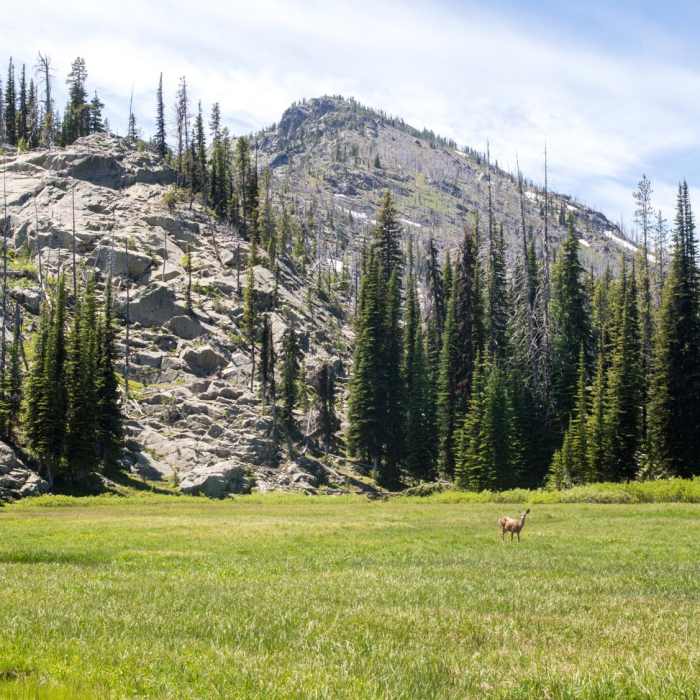 Near Seven Devils: Windy Saddle to Sheep Lake
