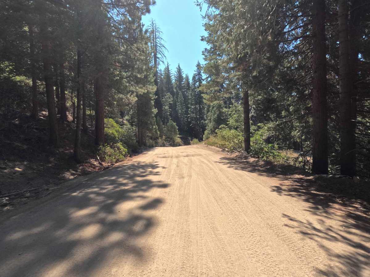 Middle Sky Ranch Road - FS 6S010 photo 6
