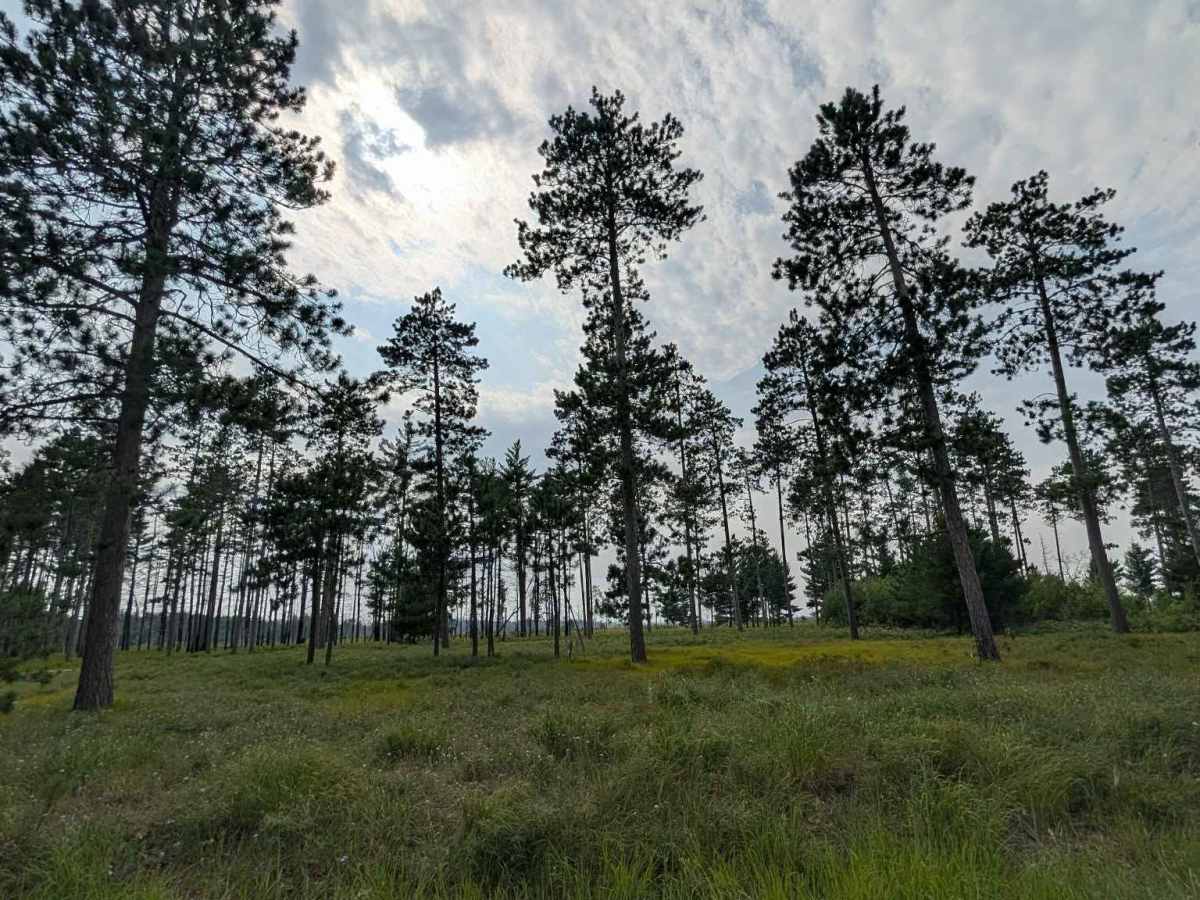 Chandler Road - FS 4422 photo 4