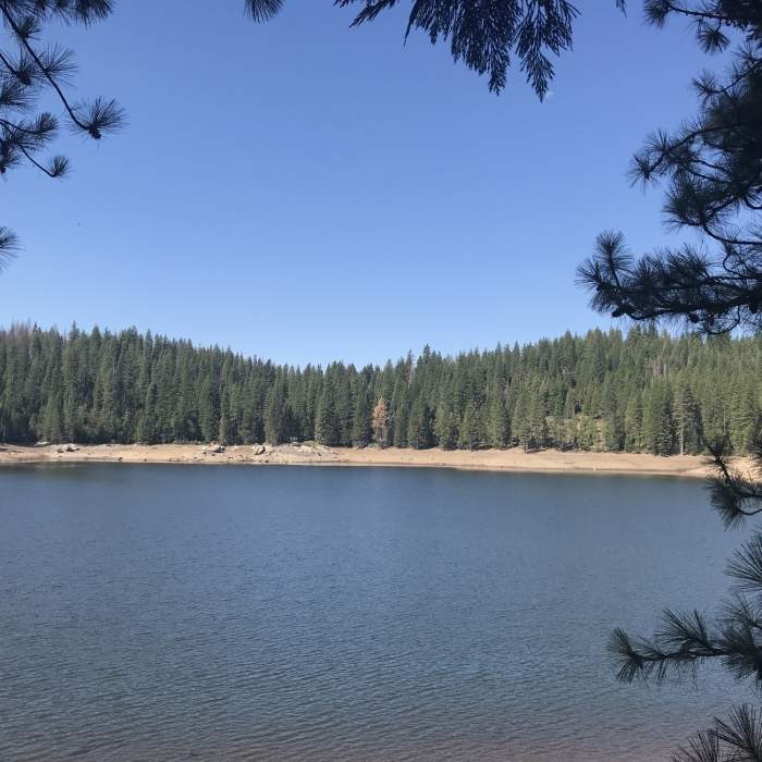 Near Sugar Pine Rail-Trail: Lyons Reservoir to Fraser Flats