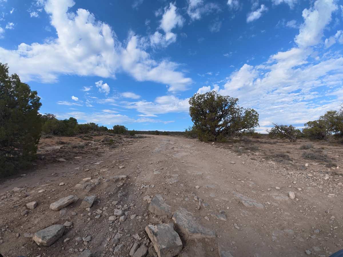 BLM 31 photo 5