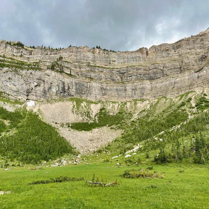 Near Continental Divide Trail: Spotted Bear Pass Alternate