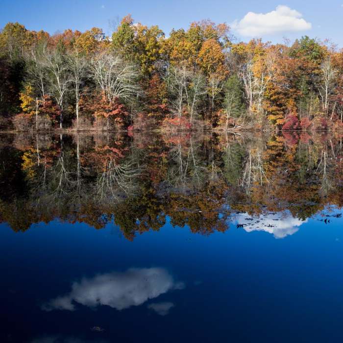 Near Hidden Lake Trail Near Hidden Lake Trail