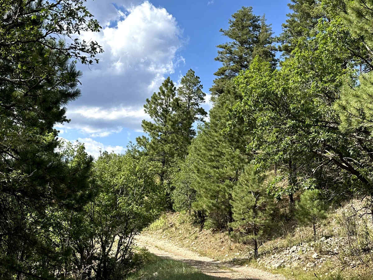Agua Chiquita Ridge photo 5