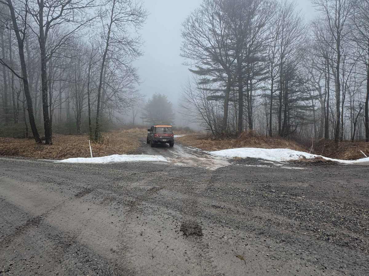 Old Wooded Road trail photo