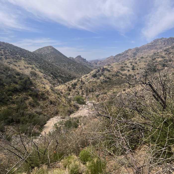 Near West Pinto Trail #212