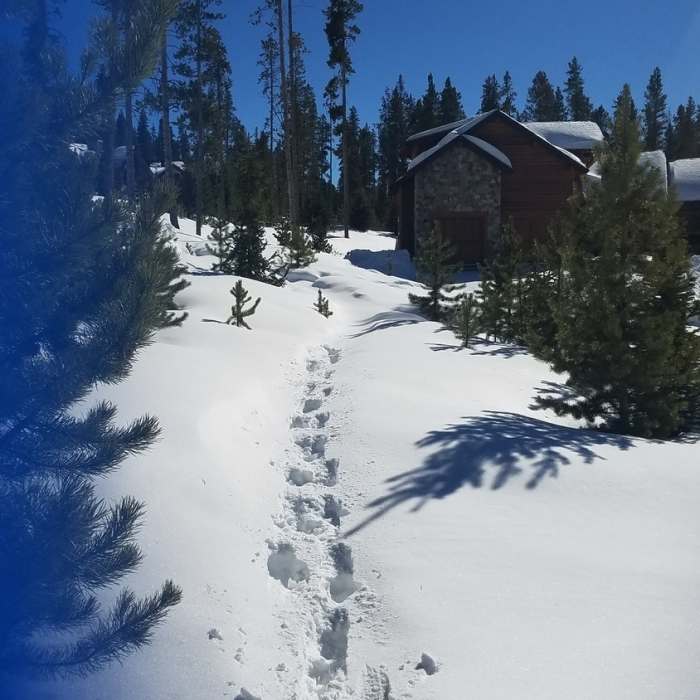 Near Lower Flume Trail