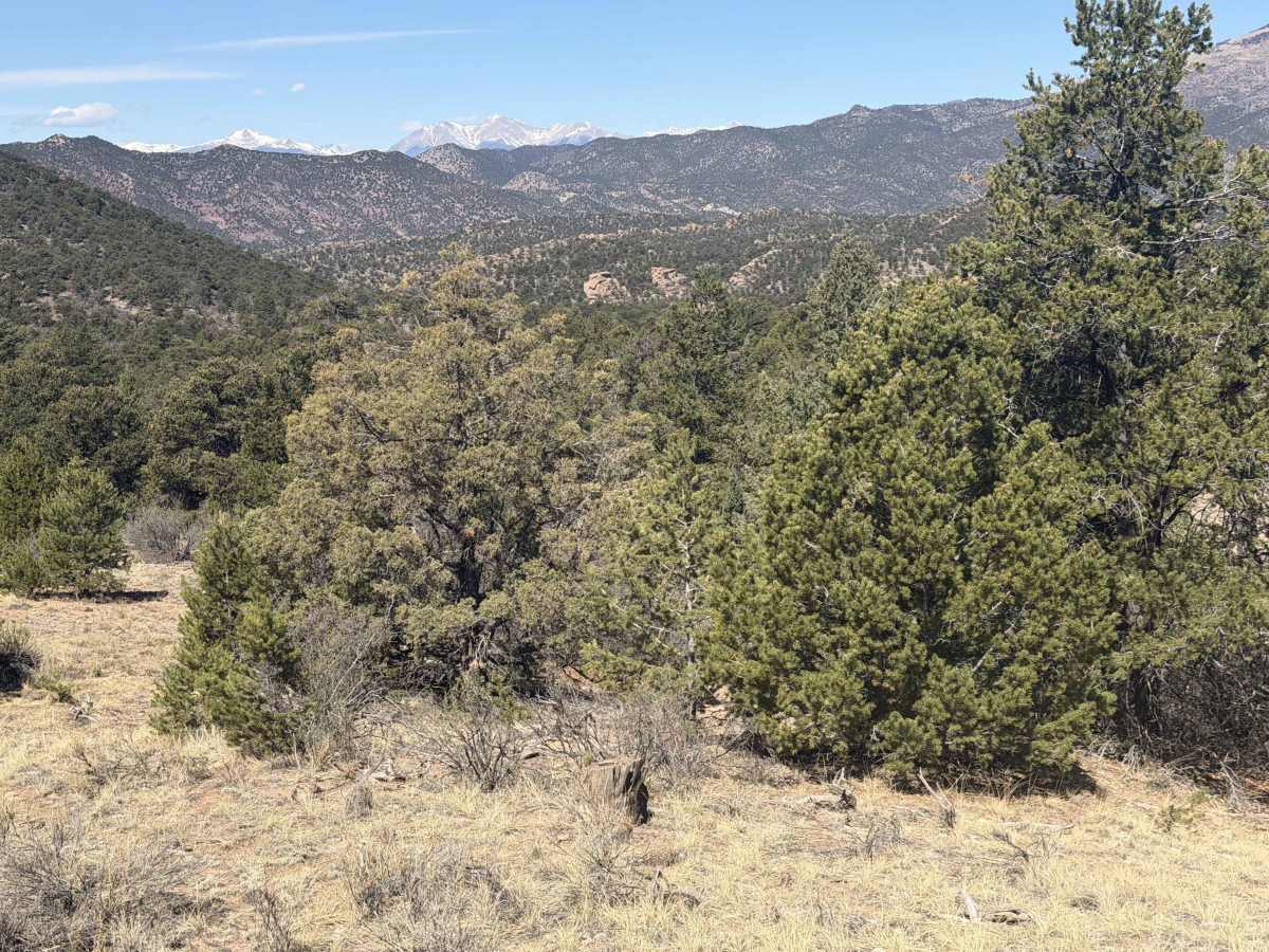 Sand Road - BLM 5980 photo 5