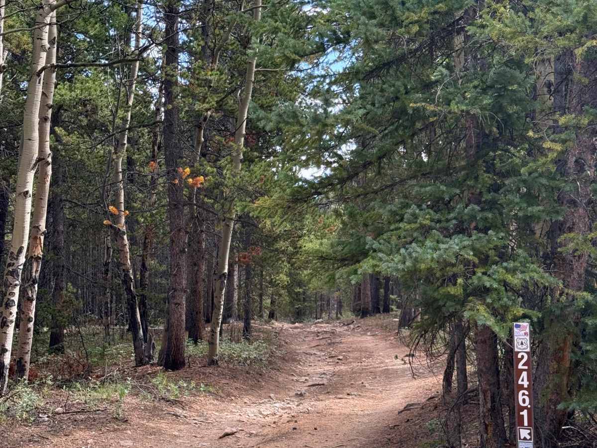 Barbour Fork Trail - FS 2461 trail photo