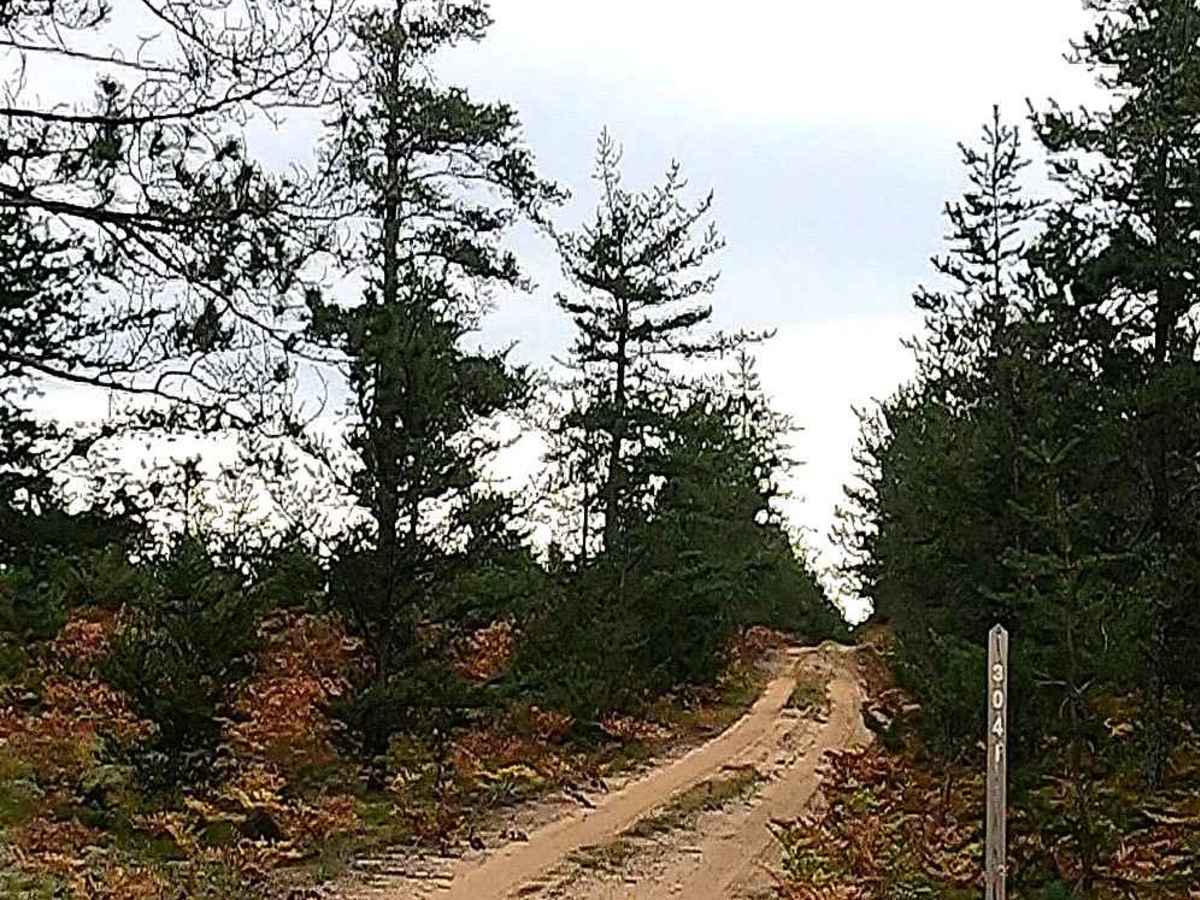 Little Avery - FSR 3041 trail photo
