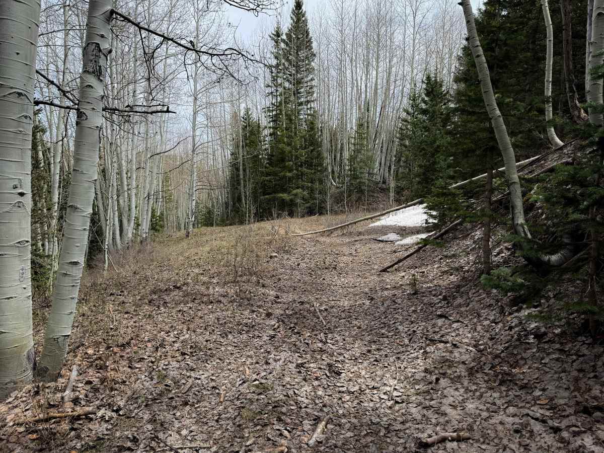 Trail 16   photo 6