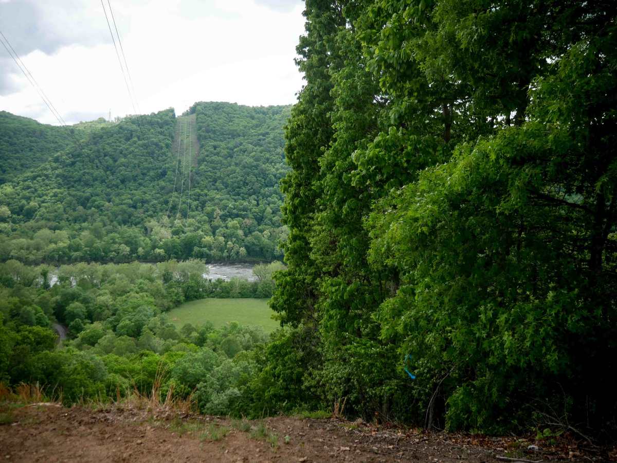 Trail 3 photo 5