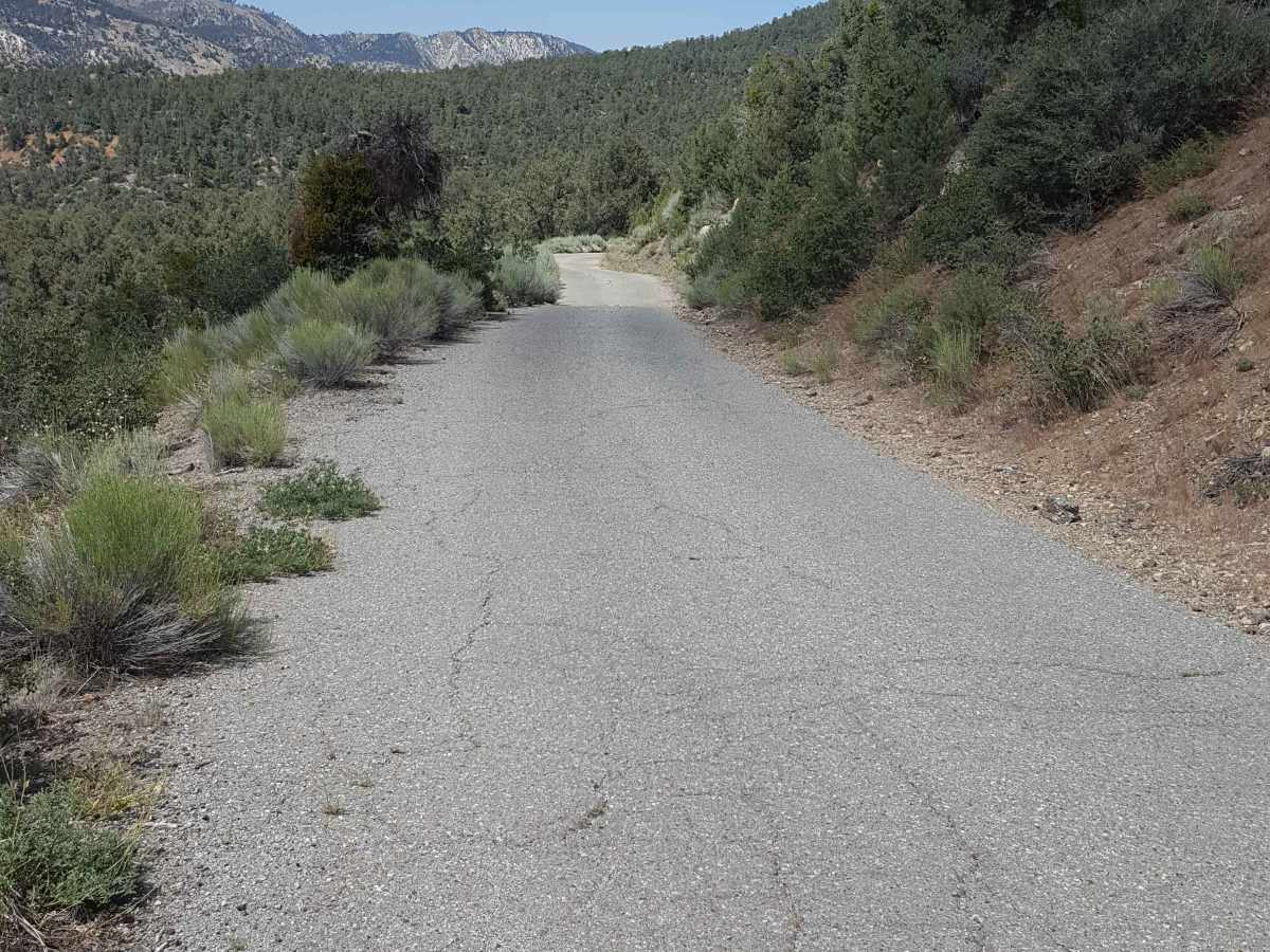 Frazier Mountain Rd - FS 8N04 photo 5