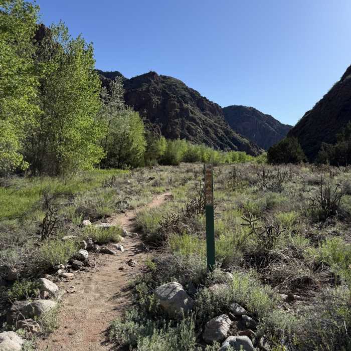 Near The Temple Trail