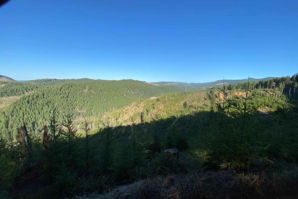 Trail 45 Log Jam - Leg 1