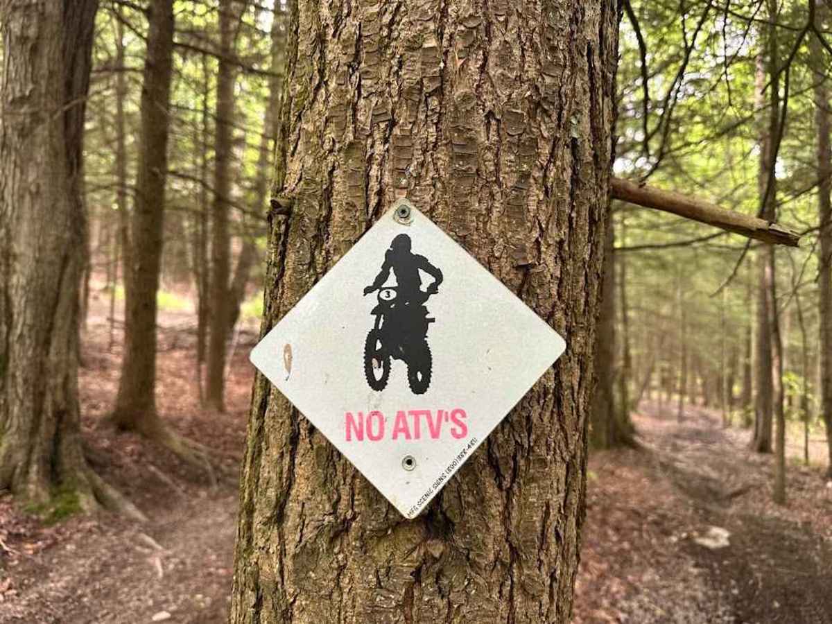 Orange Single Track Campground - B10 trail photo