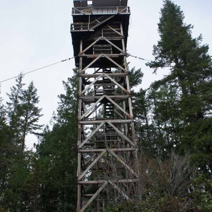 Near Heybrook Lookout Trail #1070