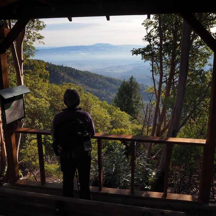 Near Twin Peaks Trail