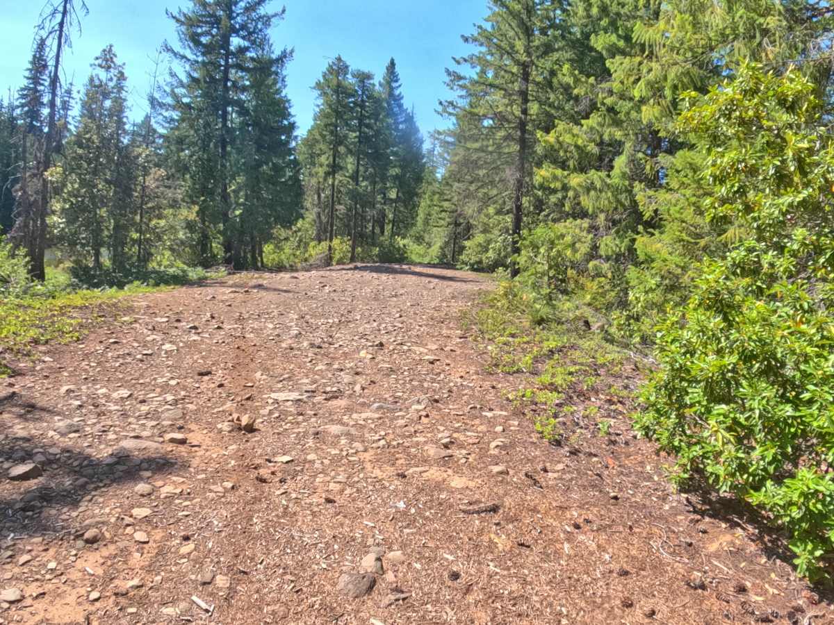 Presley Lake Turnoff - FS 2257516 photo 4