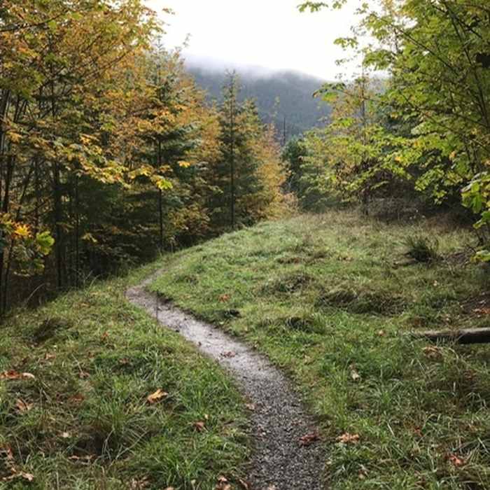Near Upper Gray Wolf Trail