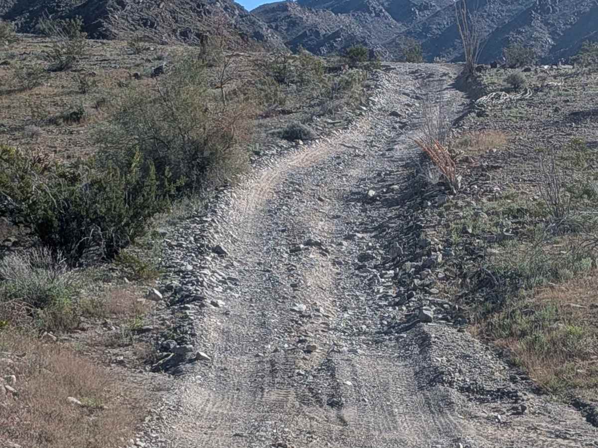 EC1261 trail photo