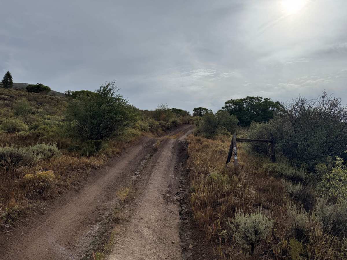 Freeman Powerline Road trail photo