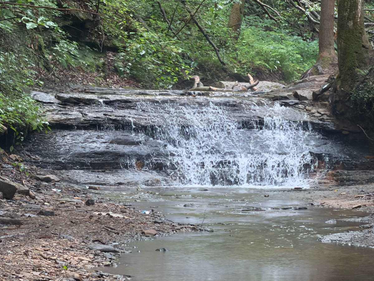 Little Buckhorn Waterfall Trail photo 5