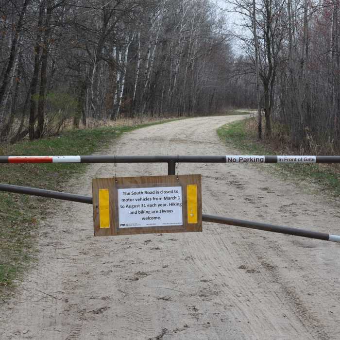 Near Carlos Avery Pool 15 Loop Near Carlos Avery Pool 15 Loop