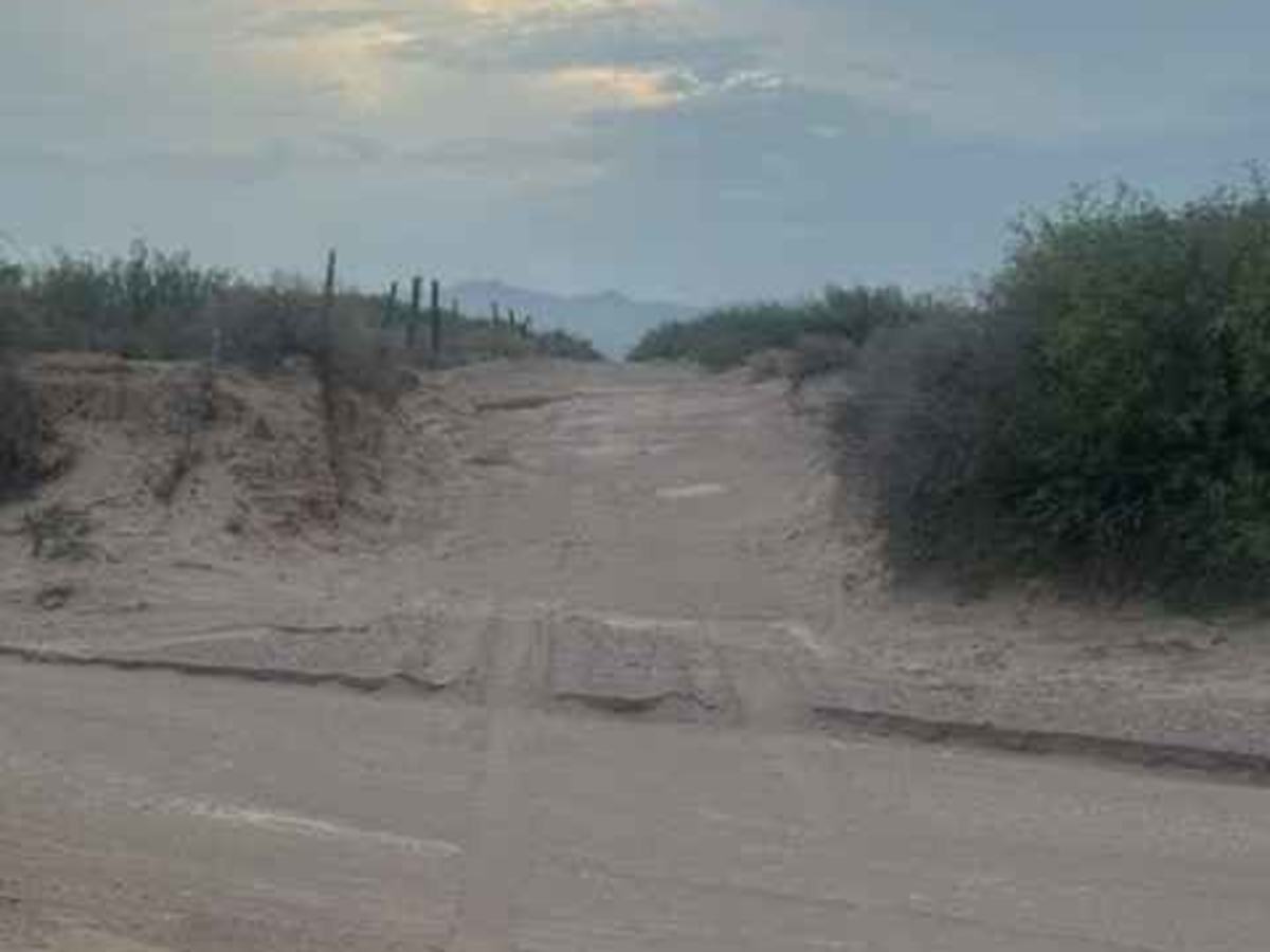 SS1106 photo 6