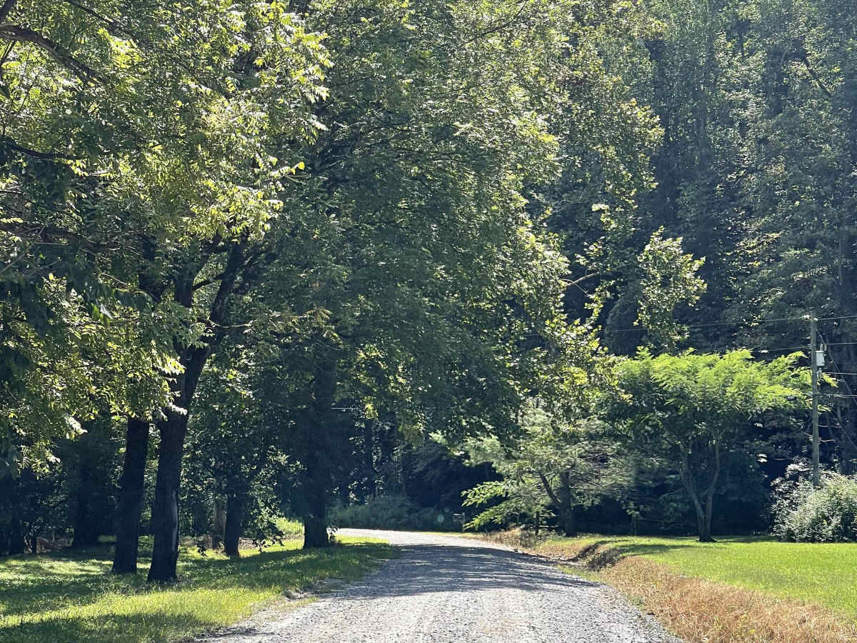 Mulberry Creek Road photo 4