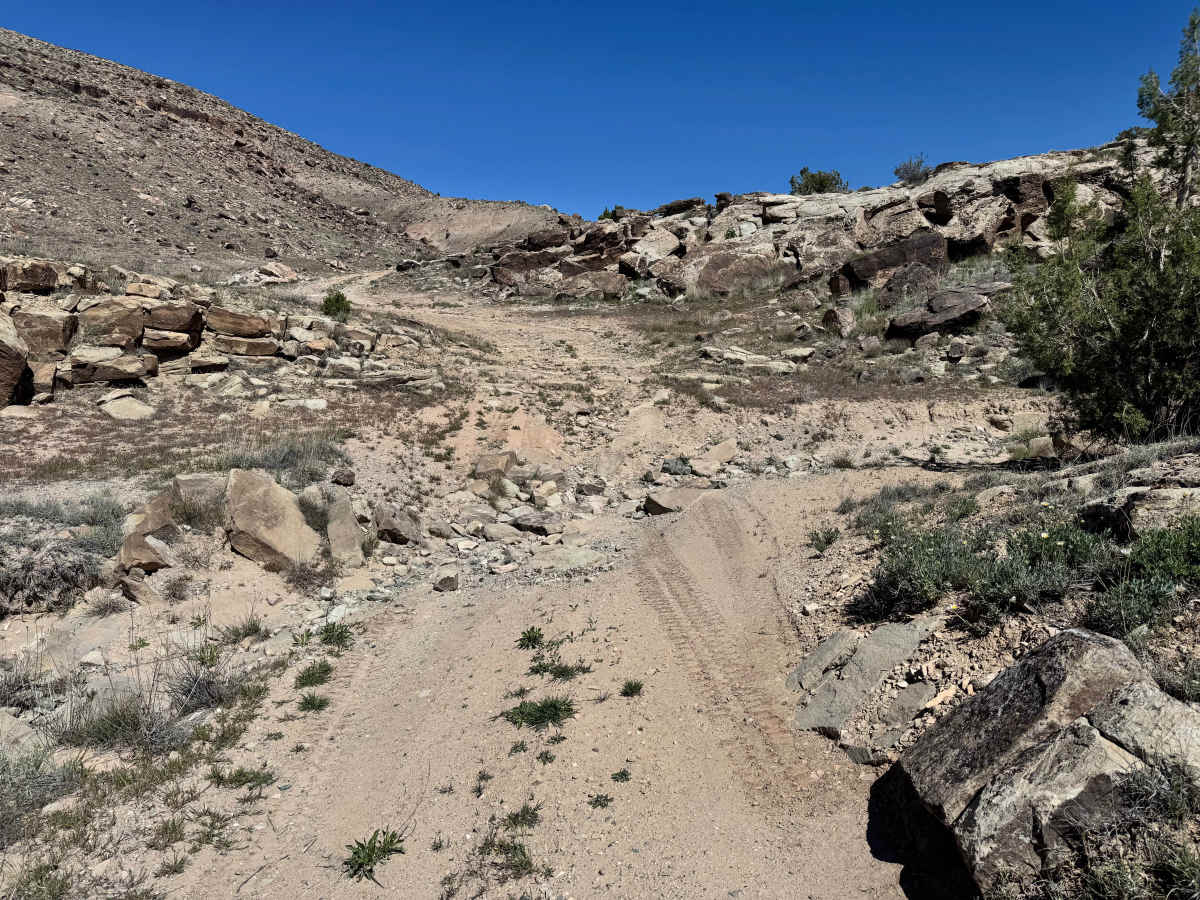 Yellow Jacket Canyon photo 2