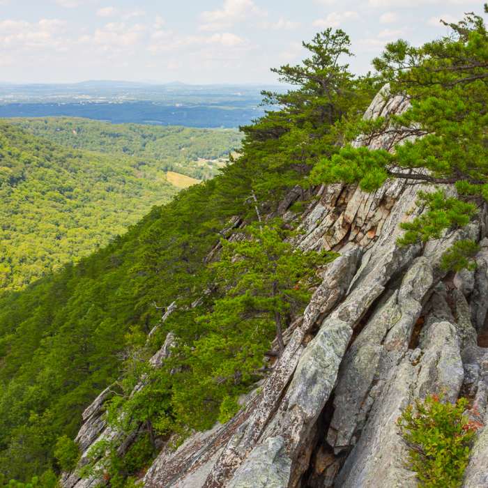 jagged rocks along the ridge Near Buzzard Rocks Trail