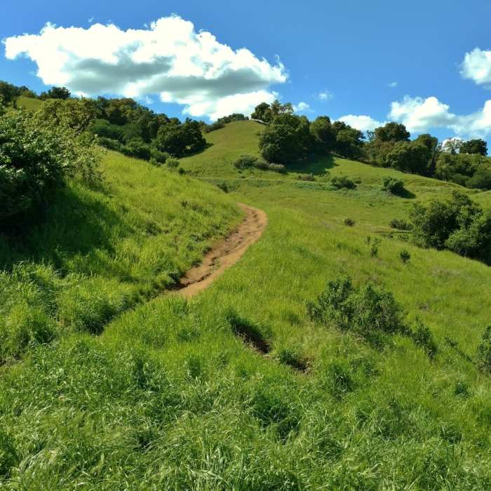 Near Ohlone Trail