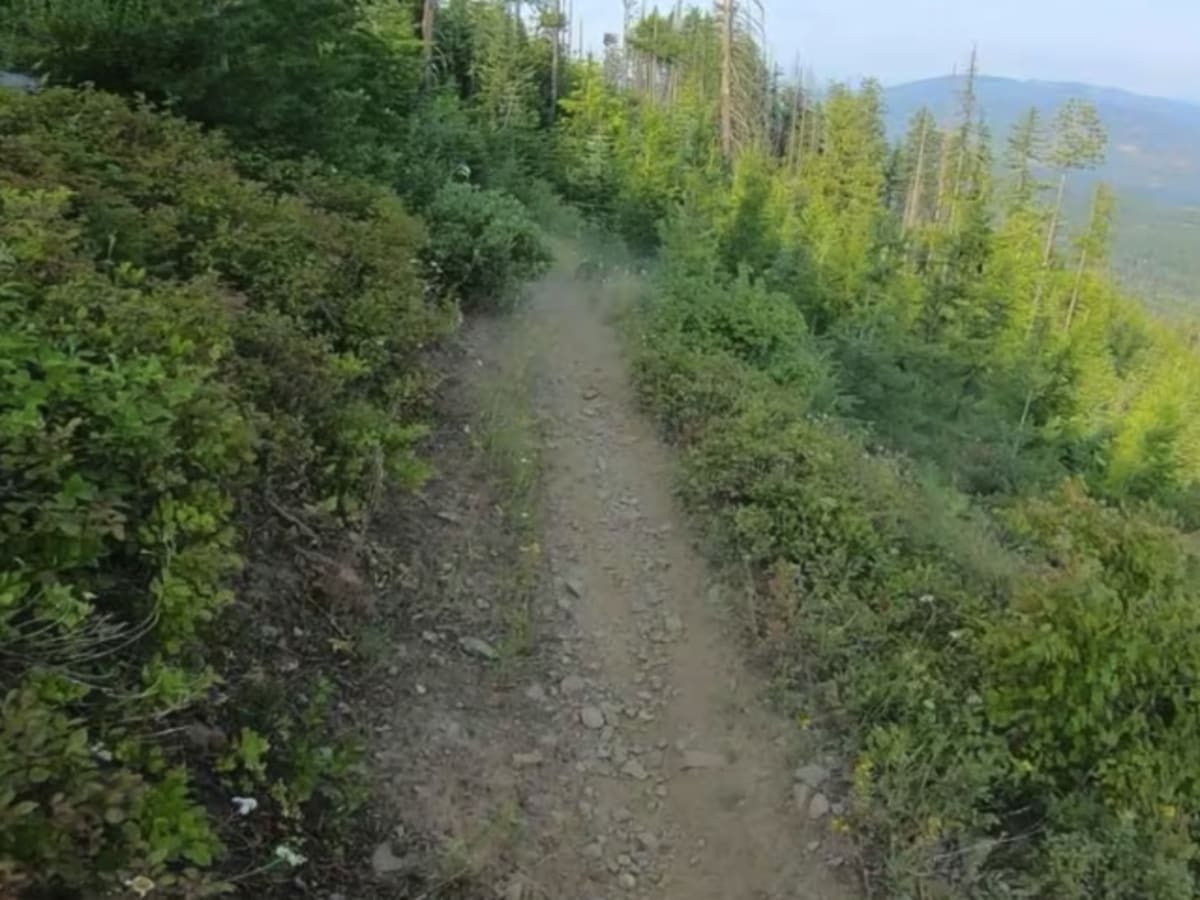 Little Blacktail Trail photo 4