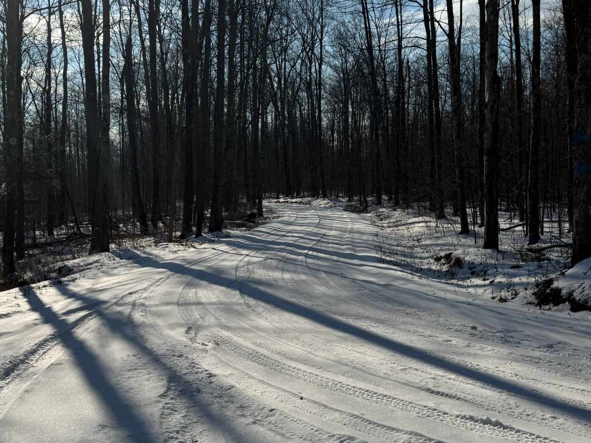 Cabbage Hollow Road photo 3