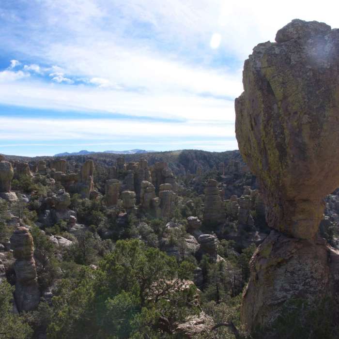 Near Chiricahua Canyon Big Loop