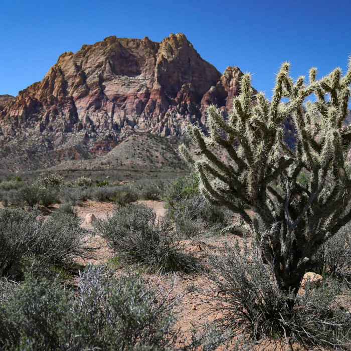 Near Oak Creek Canyon Trail