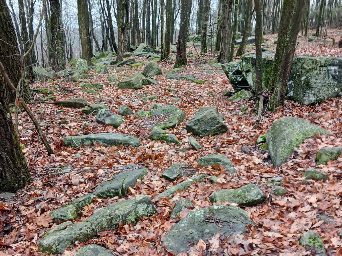 OHV 38 - Rock Run Recreation Area photo 4
