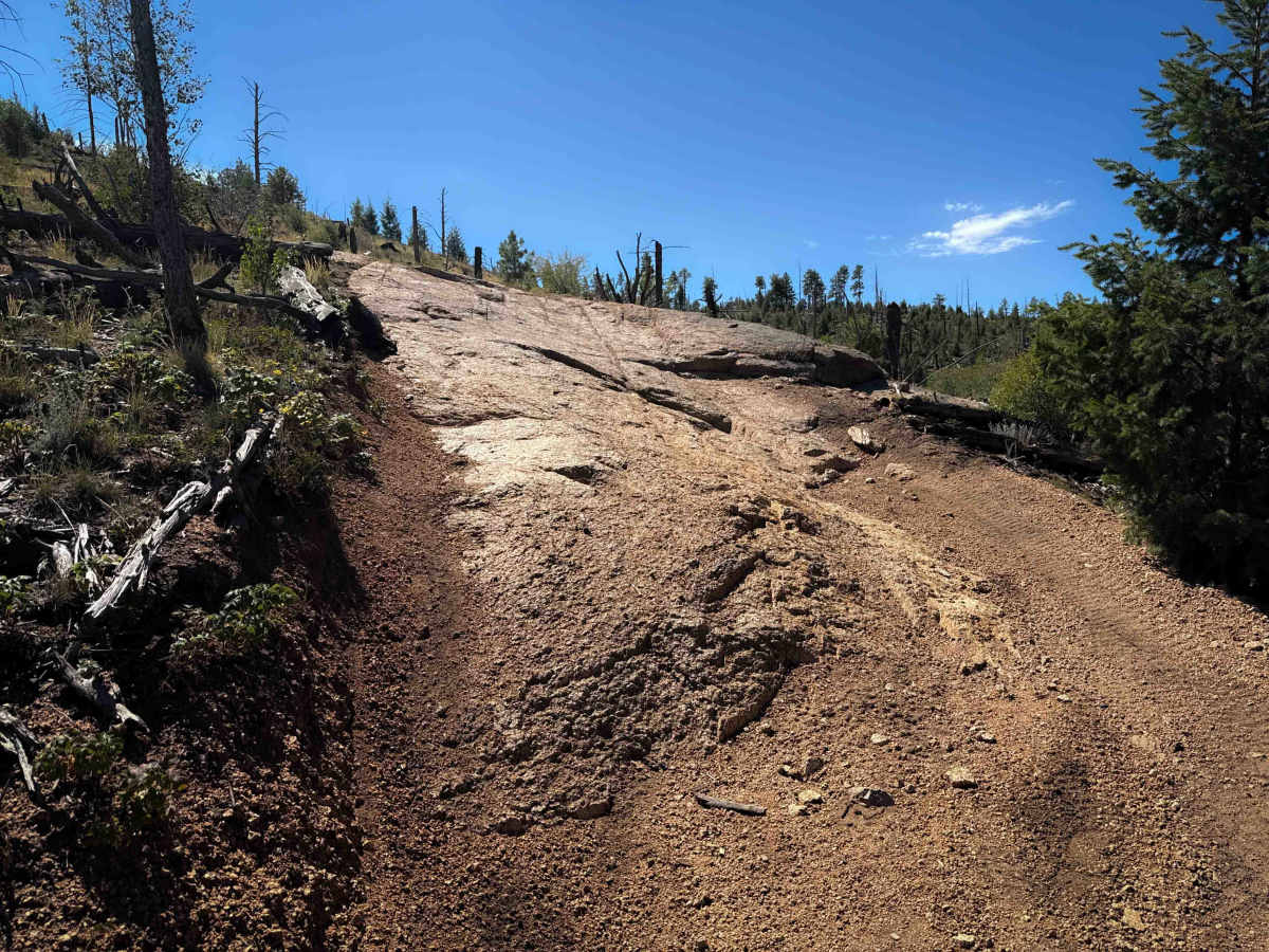 Signal Butte Trail 717 (Northwest Segment) photo 4
