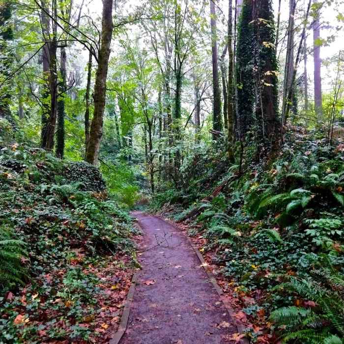 Near Wildwood Trail - National Recreation Trail