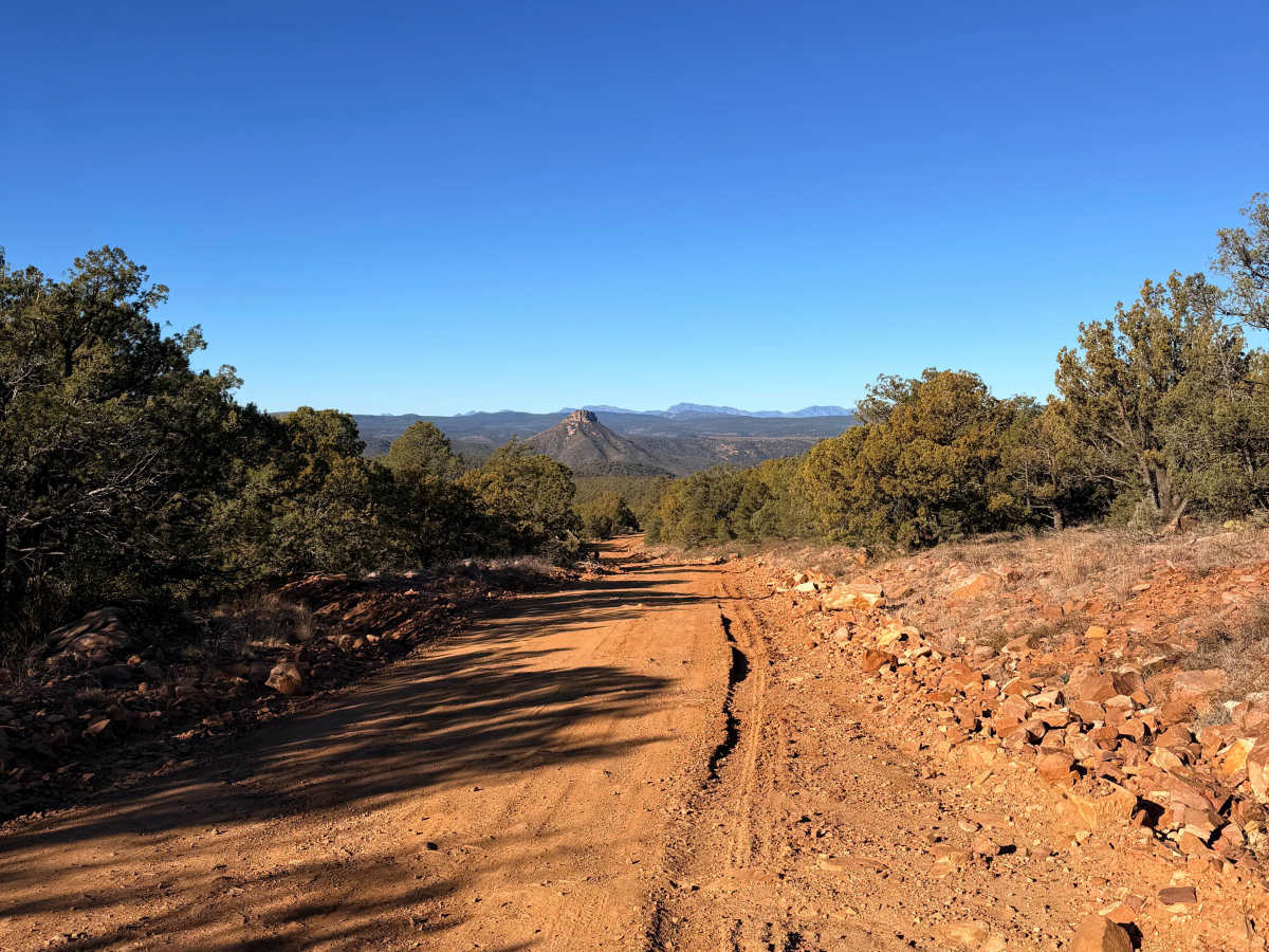 Buzzard Roost - FS 486 photo 3