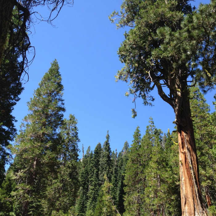 Near Four Lakes Loop via Long Canyon
