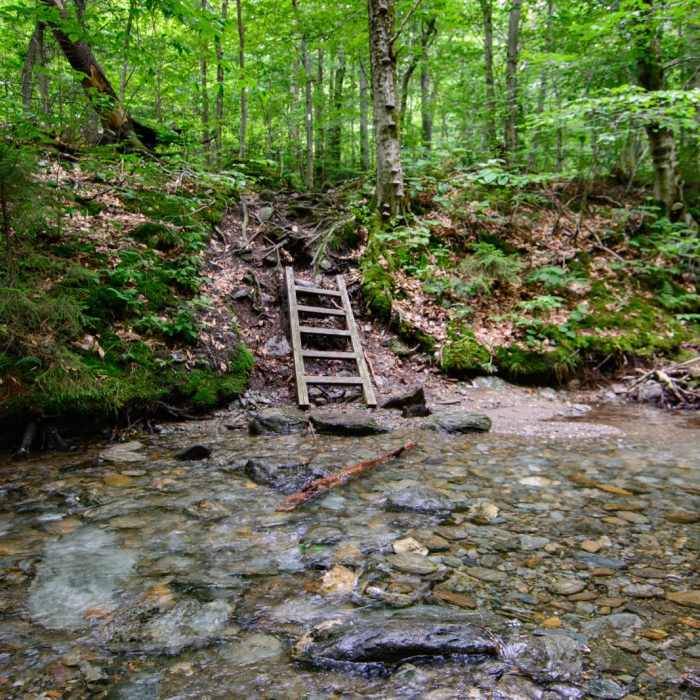 Near Elephants Head via Long Trail North Near Elephants Head via Long Trail North