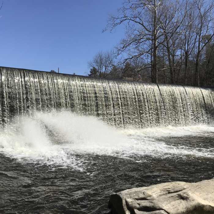 Near Iron Trail