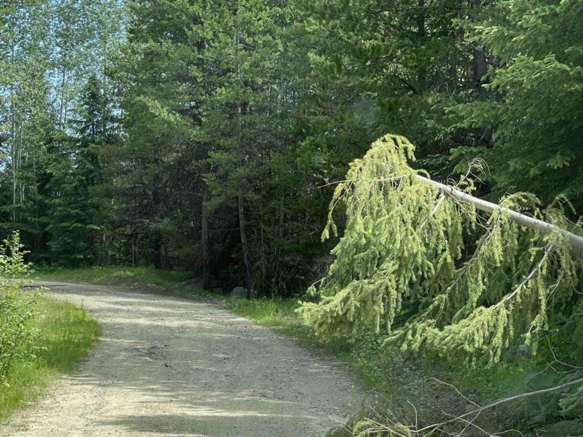 Around Aberdeen on Curtis Lake FSR trail photo
