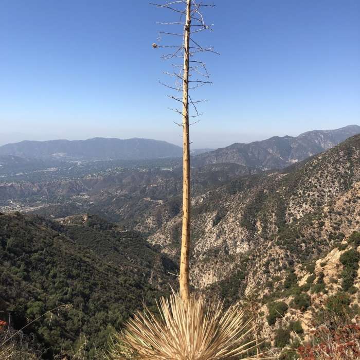 Near Sunset Ridge to Dawn Mine Loop