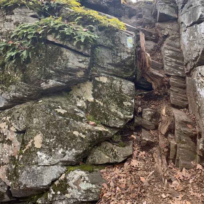 Near Mile of Ledges Trail