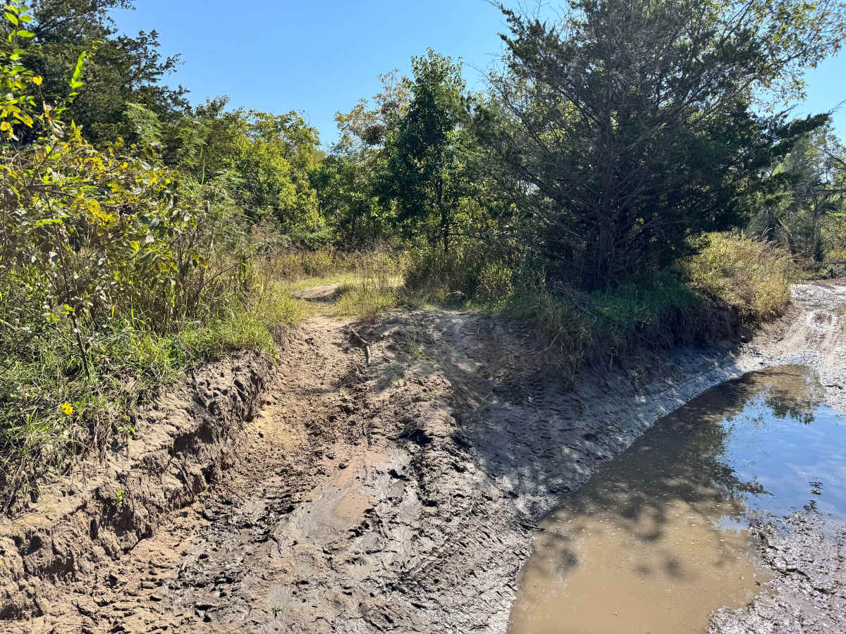 Rattle Trap Run trail photo